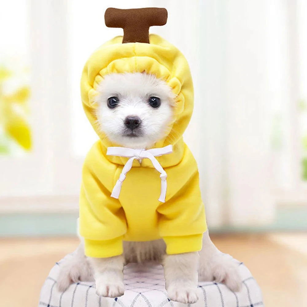 Cute Fruit Dog Clothes for Small Dogs Hoodies Warm Fleece Pet Clothing Puppy Cat Christmas Costume Coat Chihuahua Jacket Suits PAWN-SOME PETS