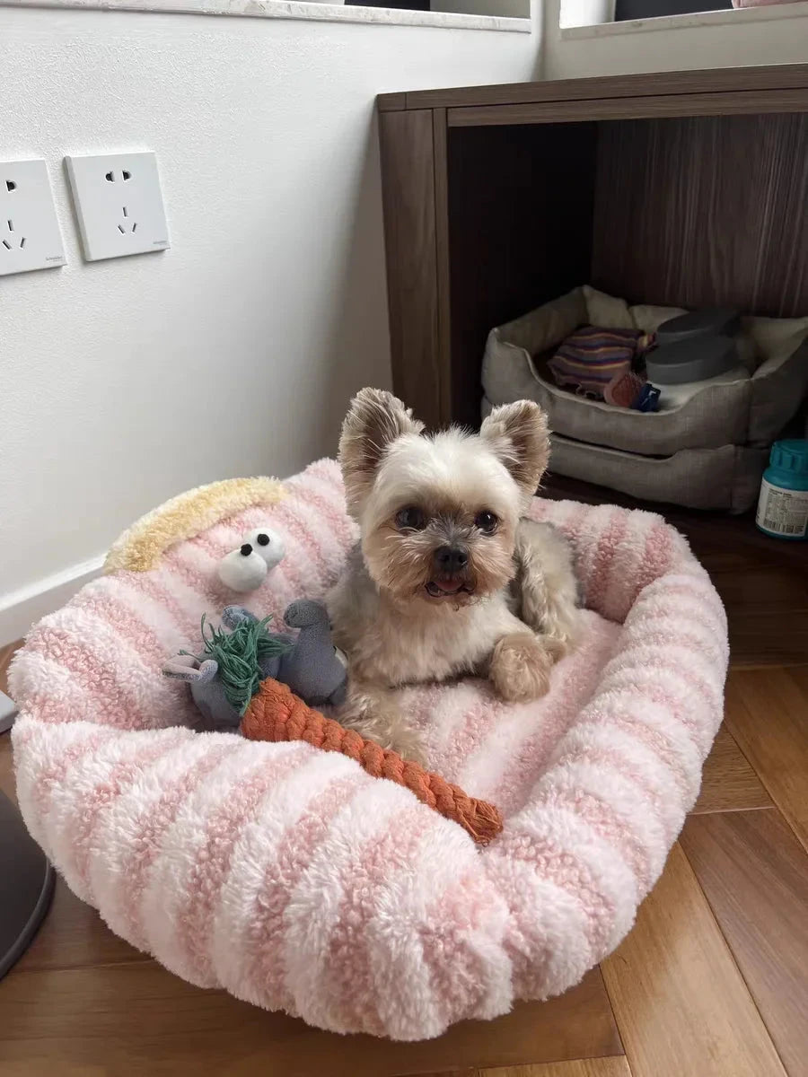 Puppy special sofa kennel winter warm pet Internet celebrity cat nest small dog dog sleeping mat cushion winter bed PAWN-SOME PETS
