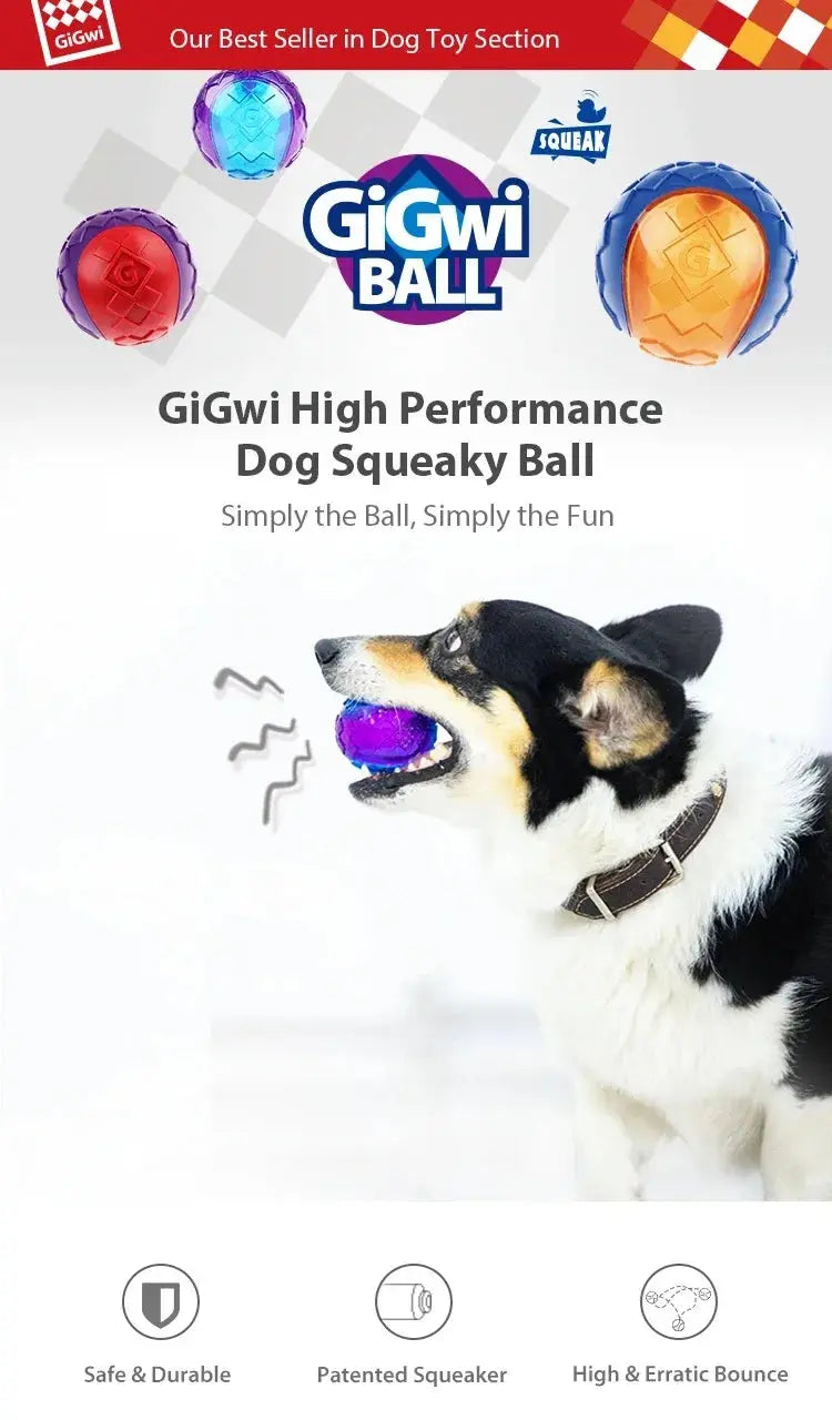 Gigwi Pet Toys Interactive Dog Ball G-Ball Series Squeaky Balls for Small/Medium Dogs PAWN-SOME PETS