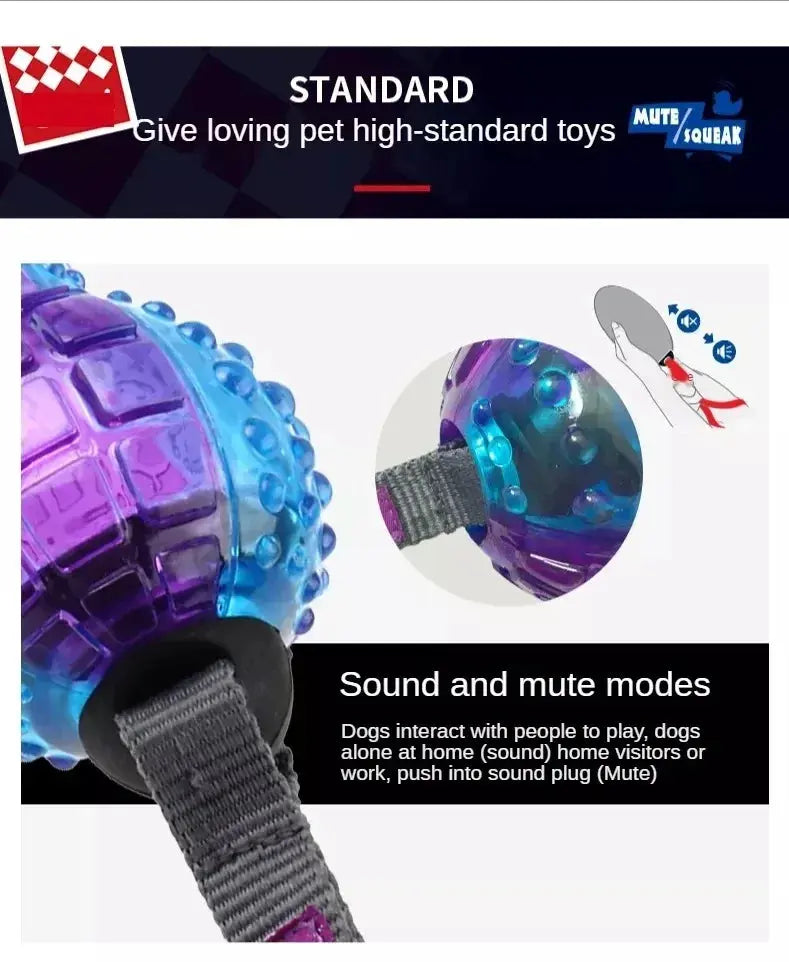 Gigwi Pet Toys Interactive Dog Ball G-Ball Series Squeaky Balls for Small/Medium Dogs PAWN-SOME PETS