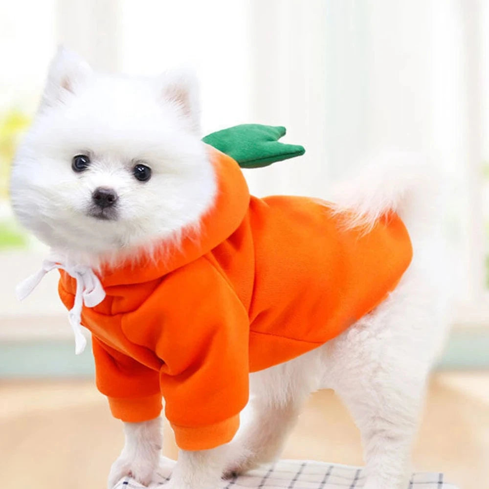 Cute Fruit Dog Clothes for Small Dogs Hoodies Warm Fleece Pet Clothing Puppy Cat Christmas Costume Coat Chihuahua Jacket Suits PAWN-SOME PETS