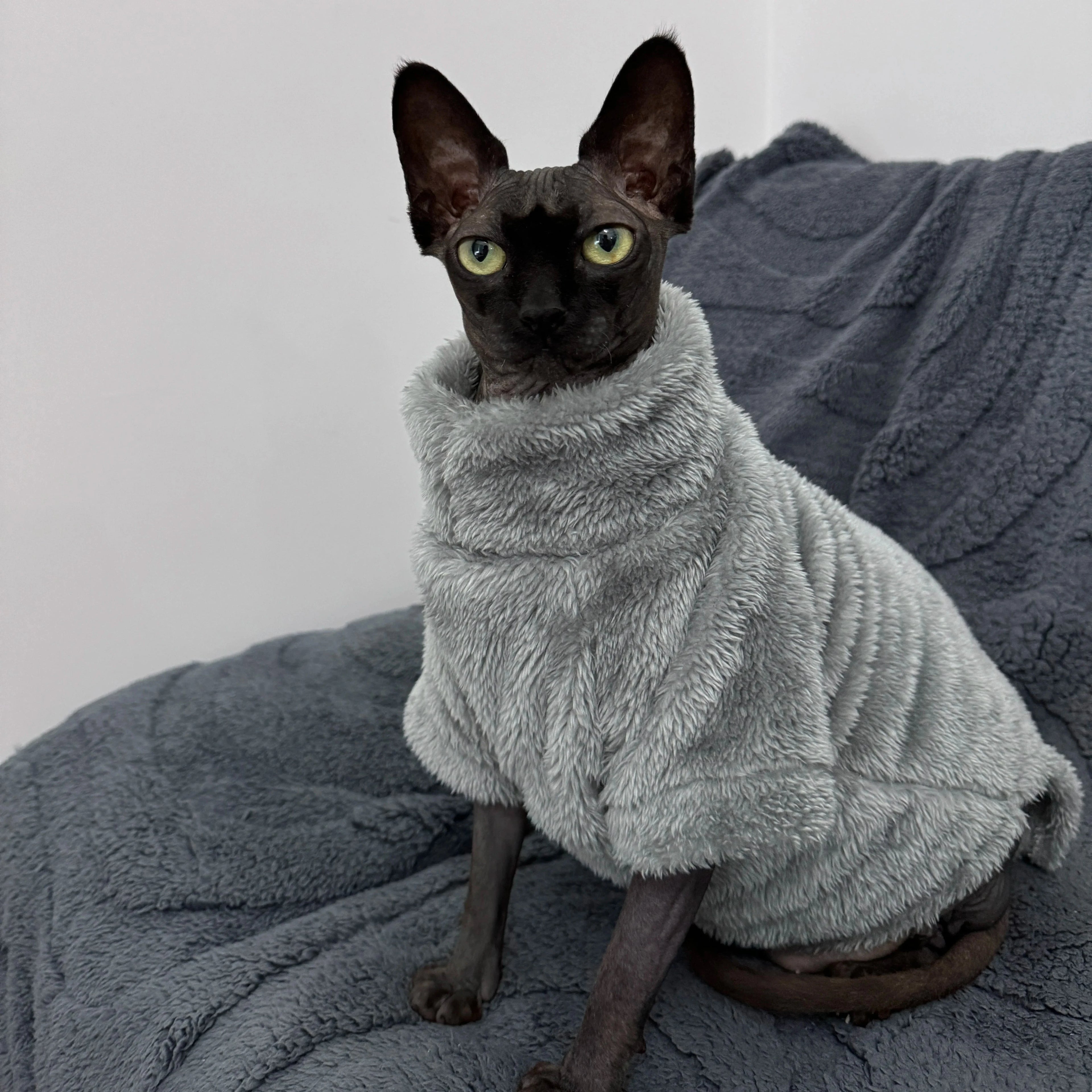 Pet Cat Sweater Home Fur Autumn and Winter Warm Solid Color Soft Arctic Velvet Skincare Suitable for Devonshire Cats, Hairless C PAWN-SOME PETS