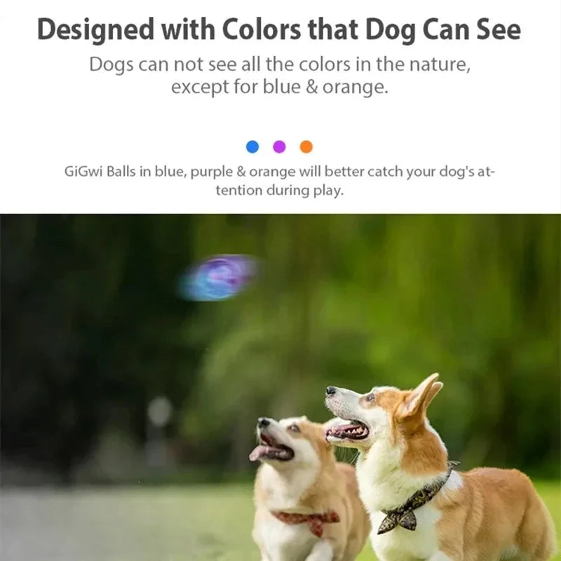 Gigwi Pet Toys Interactive Dog Ball G-Ball Series Squeaky Balls Dog Toys 2.5” for Small/Medium Dogs Bouncy And Assorted Colors PAWN-SOME PETS