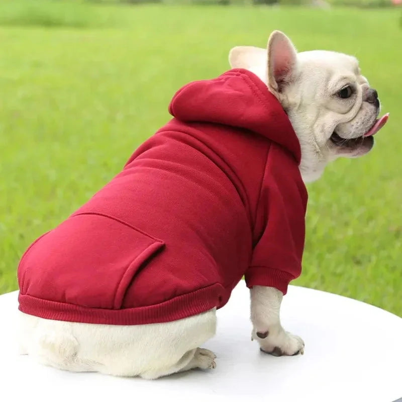 Autumn Winter Pet Cat Cotton Hooded Sweatshirts for Small Dogs Cats Clothes Warm Coat Puppy Hooded Sweats PAWN-SOME PETS