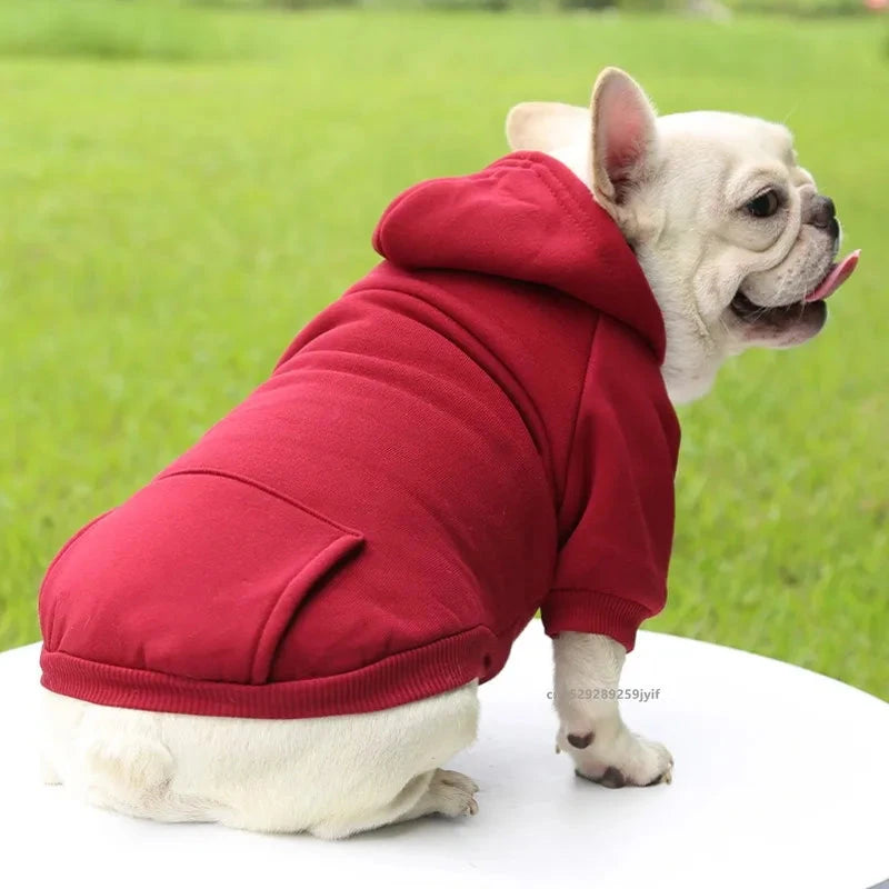 Autumn Winter Pet Cat Cotton Hooded Sweatshirts for Small Dogs Cats Clothes Warm Coat Puppy Hooded Sweats PAWN-SOME PETS