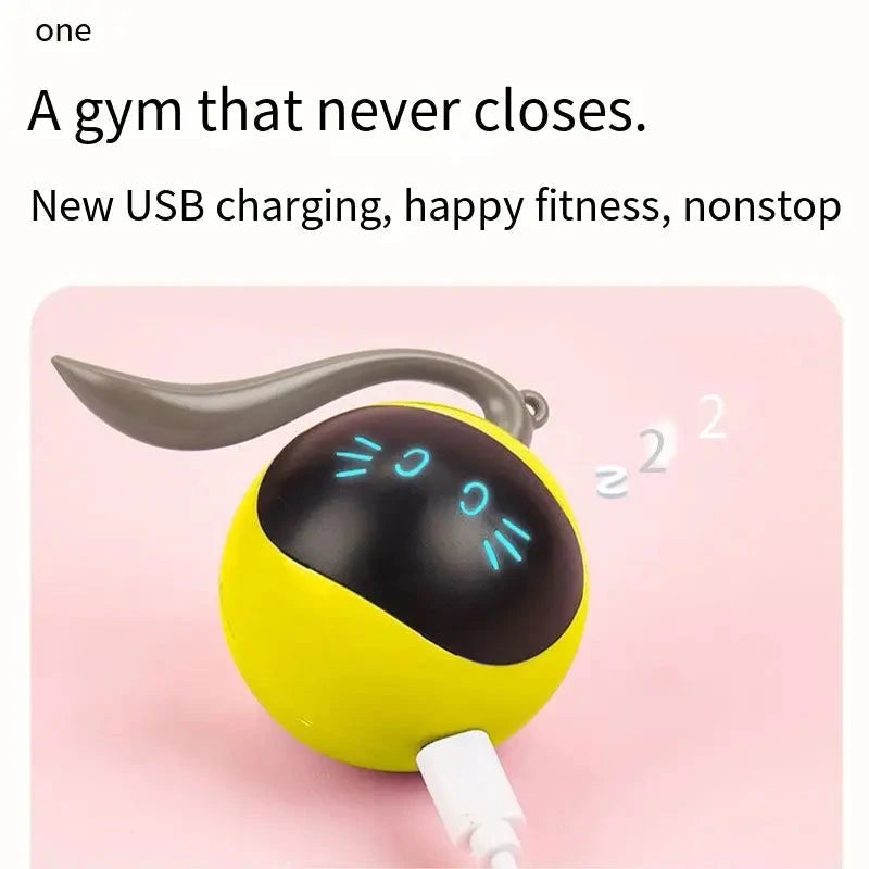 Smart Interactive Cat Toy Colorful LED Self Rotating Pet Ball Toys USB Rechargeable Kitten Automatic Ball Toys Cat Accessories PAWN-SOME PETS
