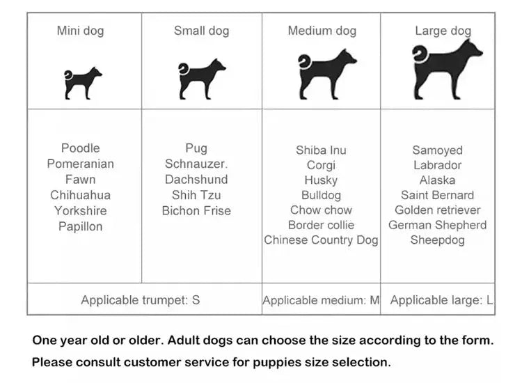 Gigwi Pet Toys Interactive Dog Ball G-Ball Series Squeaky Balls for Small/Medium Dogs PAWN-SOME PETS
