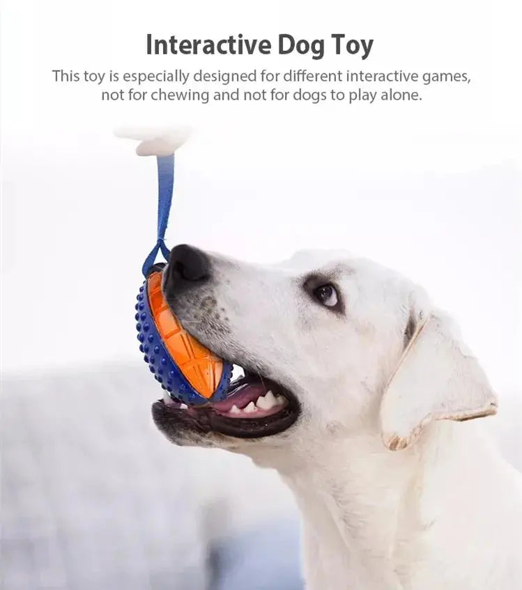 Gigwi Pet Toys Interactive Dog Ball G-Ball Series Squeaky Balls for Small/Medium Dogs PAWN-SOME PETS