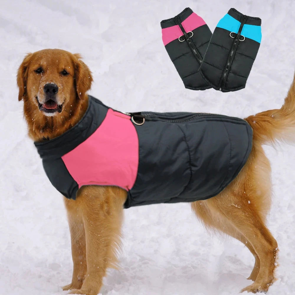 Large Dog Clothes For French Bulldog Winter Pet Clothes Coat Ropa Perro Golden Retriever Labrador Dog Clothing Jacket 2XL-7XL PAWN-SOME PETS