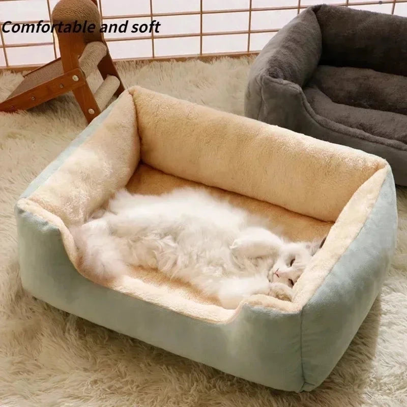 Bed for Cats Cushions Kitten Goods Accessories Dog All Houses Supplies Things Accessory Habitats Basket House Beds Cat Products PAWN-SOME PETS