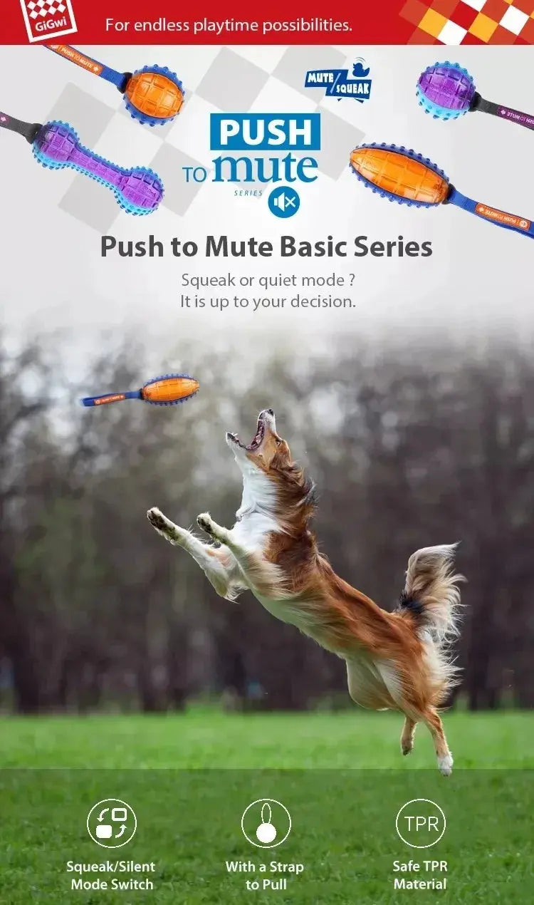 Gigwi Pet Toys Interactive Dog Ball G-Ball Series Squeaky Balls for Small/Medium Dogs PAWN-SOME PETS