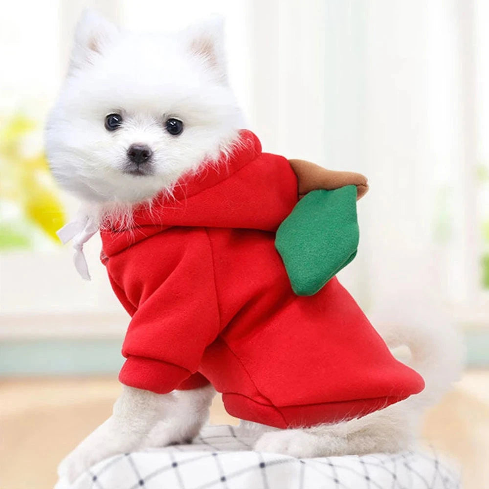 Cute Fruit Dog Clothes for Small Dogs Hoodies Warm Fleece Pet Clothing Puppy Cat Christmas Costume Coat Chihuahua Jacket Suits PAWN-SOME PETS