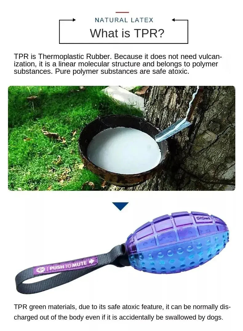 Gigwi Pet Toys Interactive Dog Ball G-Ball Series Squeaky Balls for Small/Medium Dogs PAWN-SOME PETS