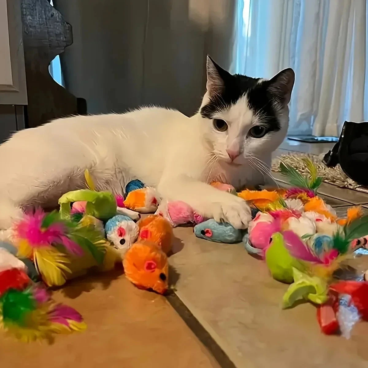 56pcs/28pcs/14pcs Cat Toys Mixed Pack. A Combination of Various Plastic Toys and Plush Toys Suitable for Multiple Cats To Play PAWN-SOME PETS