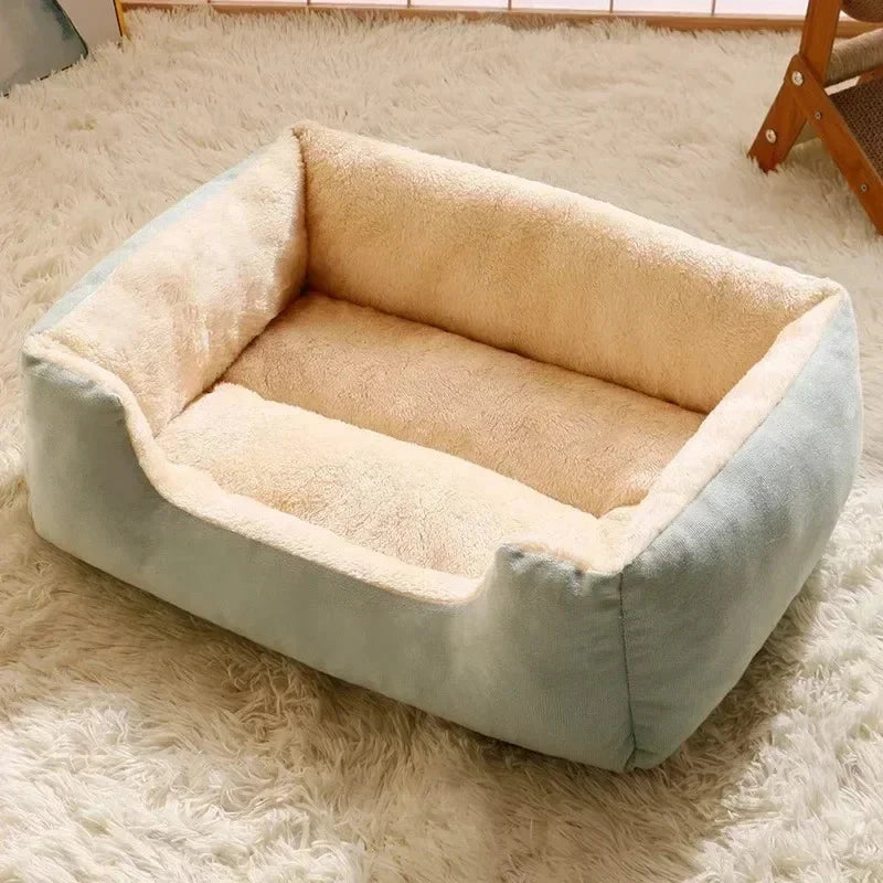 Bed for Cats Cushions Kitten Goods Accessories Dog All Houses Supplies Things Accessory Habitats Basket House Beds Cat Products PAWN-SOME PETS