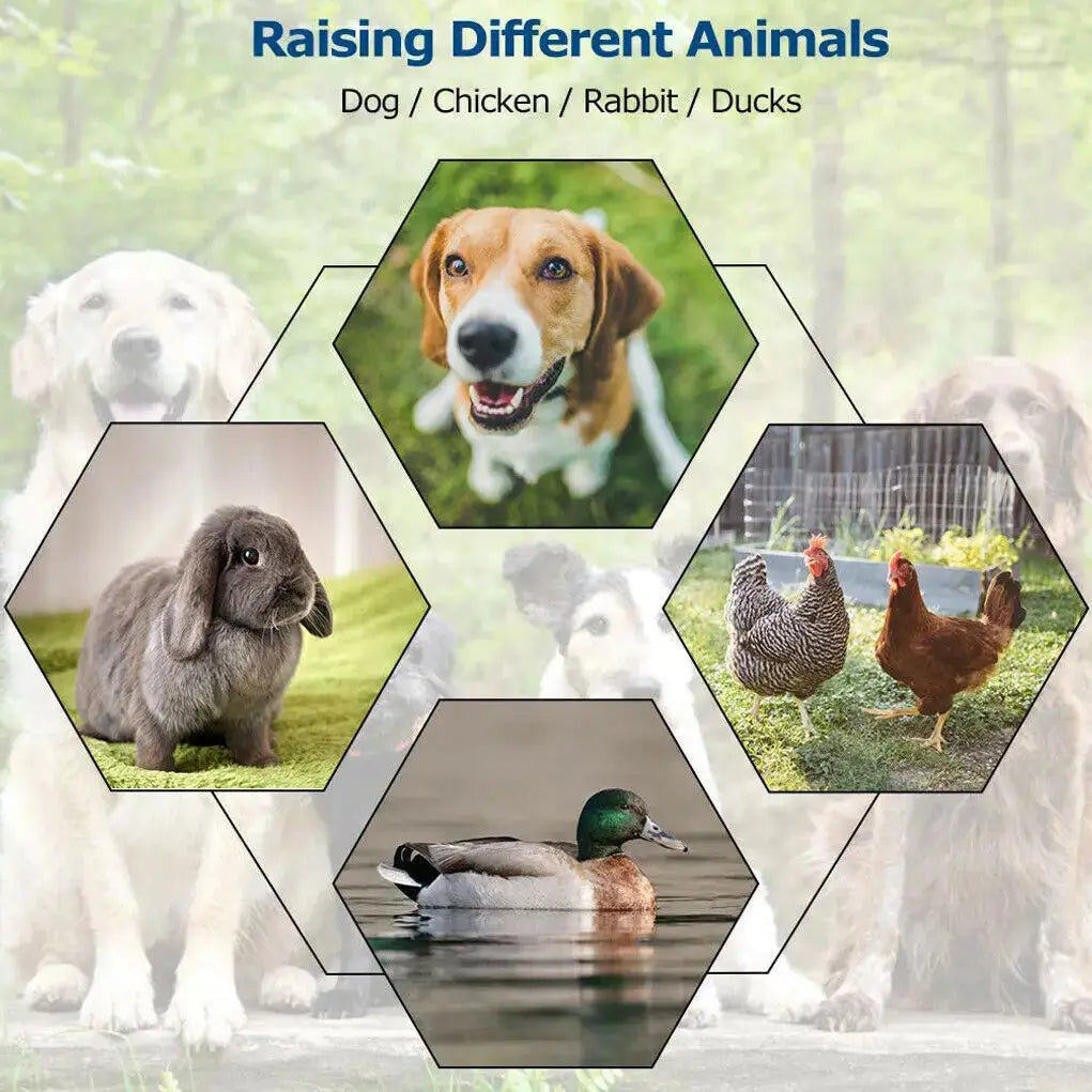 Oversize Dog Cage, Pet Run Enclosure, Playpen with Roof, for Outdoor Pet Kennel, High Fence PAWN-SOME PETS