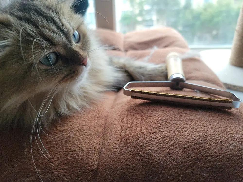 Effective Pet Hair Remover Brush For Cats And Dogs - Gently Shaves Wool And Cleans Fur For A Neat And Tidy Home