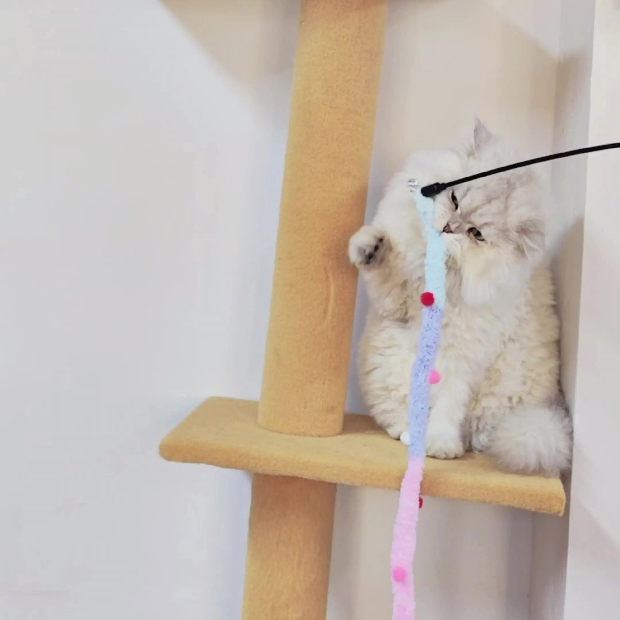 Interactive Cat Teaser Toy - Soft Plush Strip With Teasing Stick For Kitten Play - Pet Supplies For Fun And Exercise