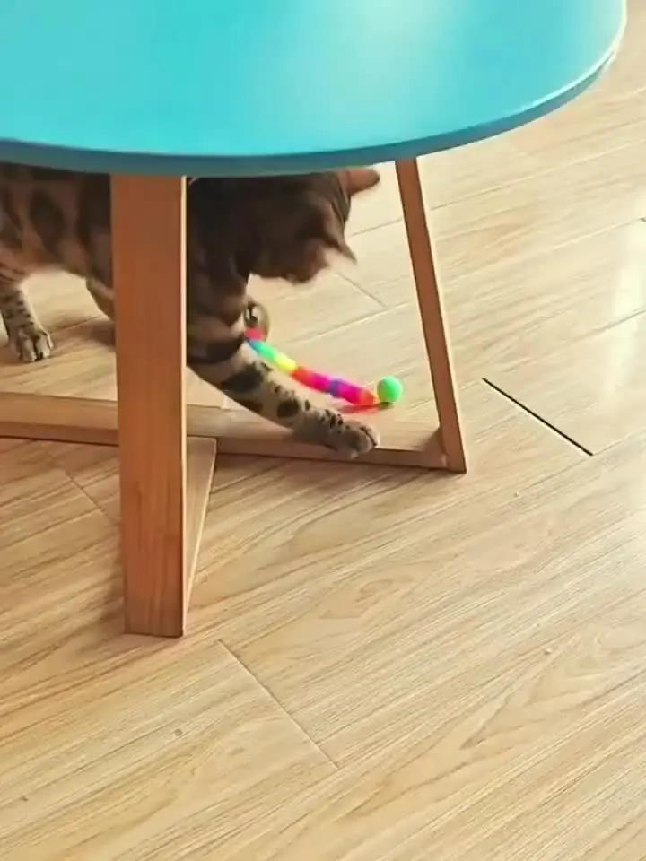 Colorful Caterpillar Plush Cat Toy with Glowing Green Eyes - Interactive Bouncy Ball Design, Soft Durable Polyester Material, Perfect for Indoor Play and Pet Entertainment, Interactive Cat Toy, Without Battery PAW-SOME PETS