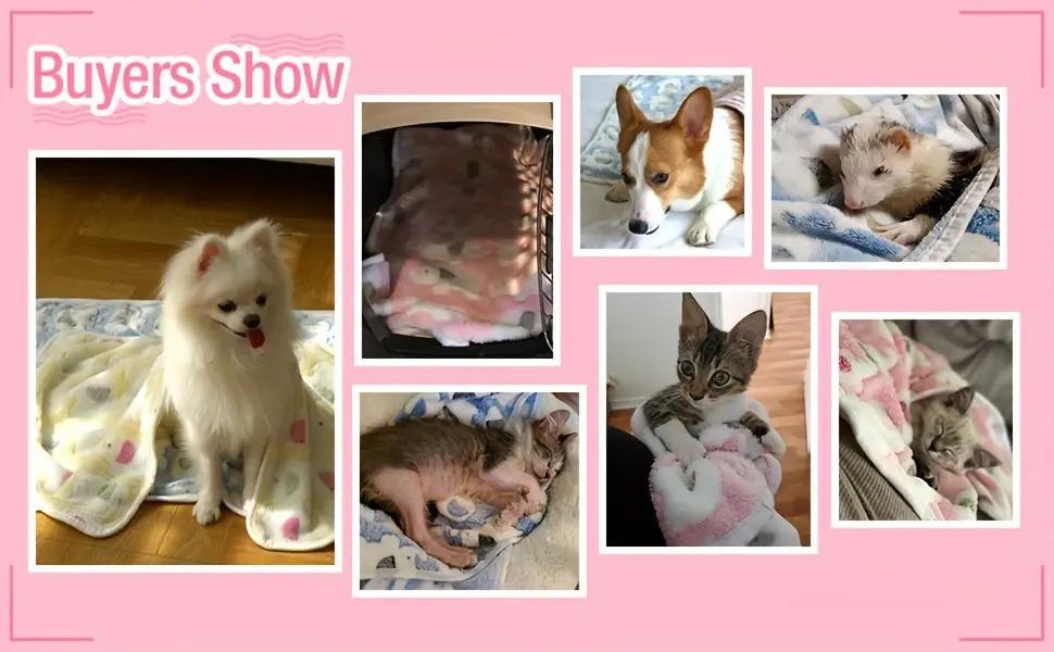 1/3 Pack - Elephant Fleece Blanket, Washable Pet Bedding for Cats & Small Dogs - Affordable Indoor Use, Essential Supplies, Sofa Throw, Dog Stroller Accessory, Suitable For Large Medium Small Breeds - Ideal For Couch Crate Be