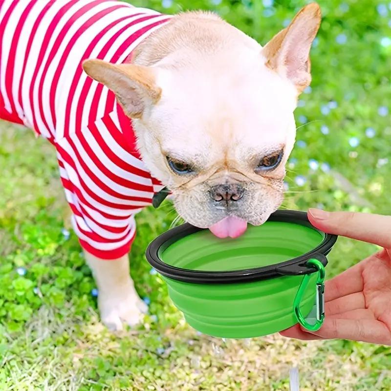 Portable Foldable Pet Bowl with Black Frame, 350ml TPR Dog Food Dish for Outdoors