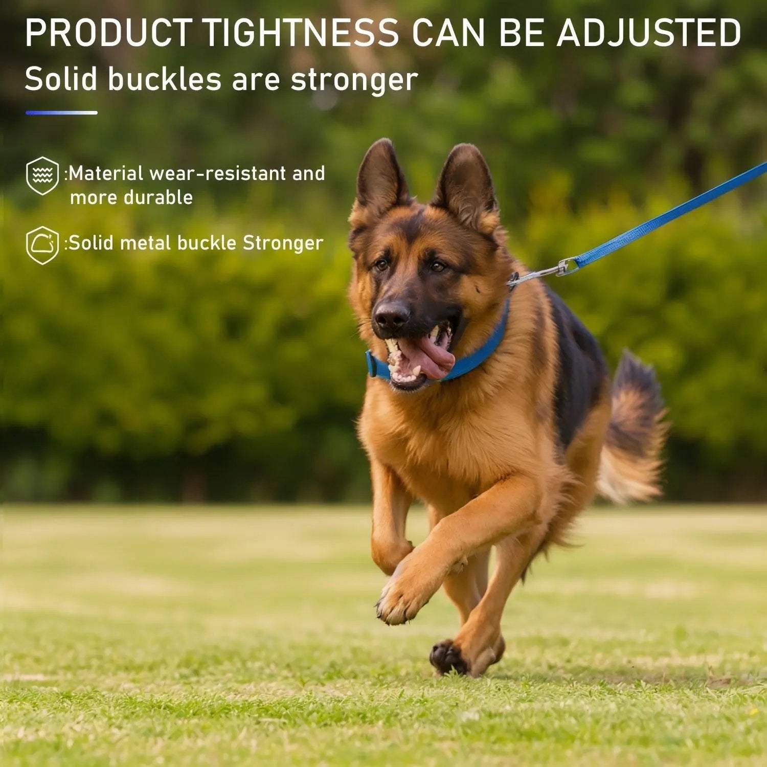 LED Webbing Collar, Suitable for Small to Medium Dogs - Keep Your Pet Safe and Visible During Nighttime Walks